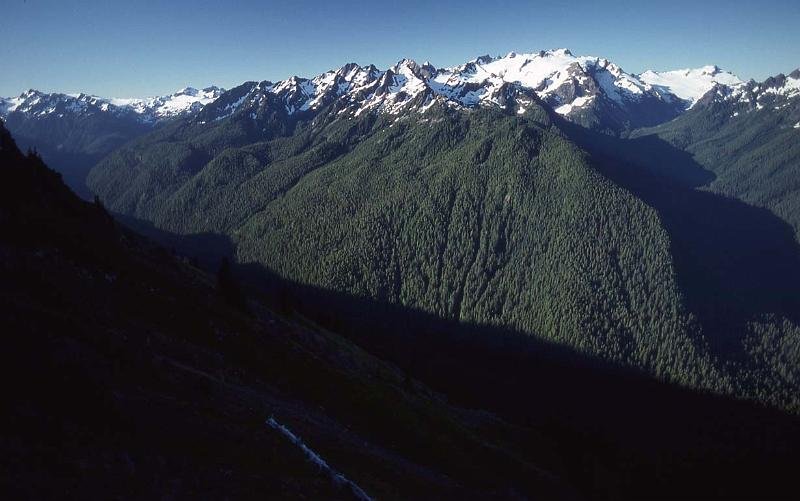 Bailey Trav 024 Aug-1989 Looking to Mt Olympus.jpg